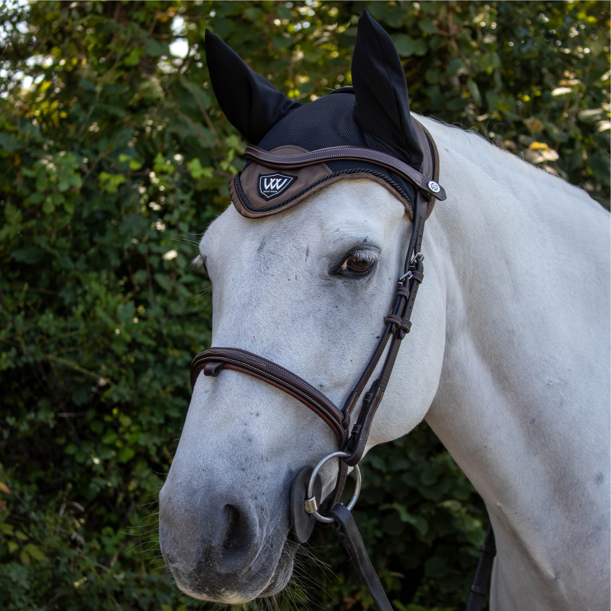 Woof Wear Vision Fliege Schleier WS0012 - Mocha
